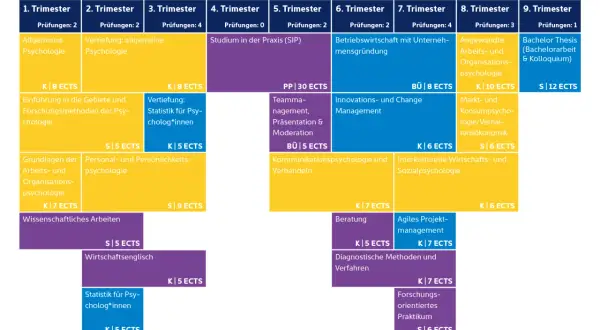Studienverlauf Wirtschaftspsychologie Bonn: Module über 9 Trimester, von allgemeiner Psychologie bis zur Bachelorarbeit.