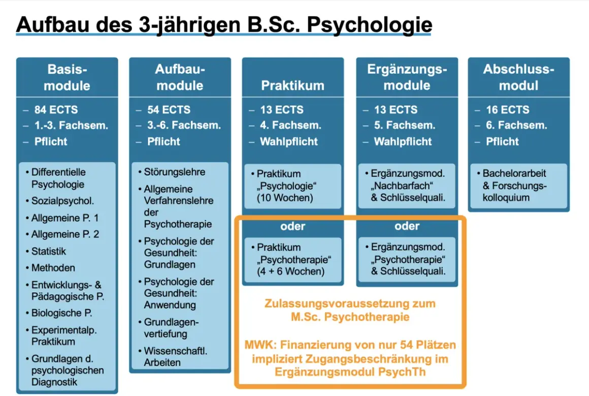 Aufbau des polyvalenten Bachelor Psychologie: Basis-, Aufbau-, Praktikums-, Ergänzungs- und Abschlussmodule.