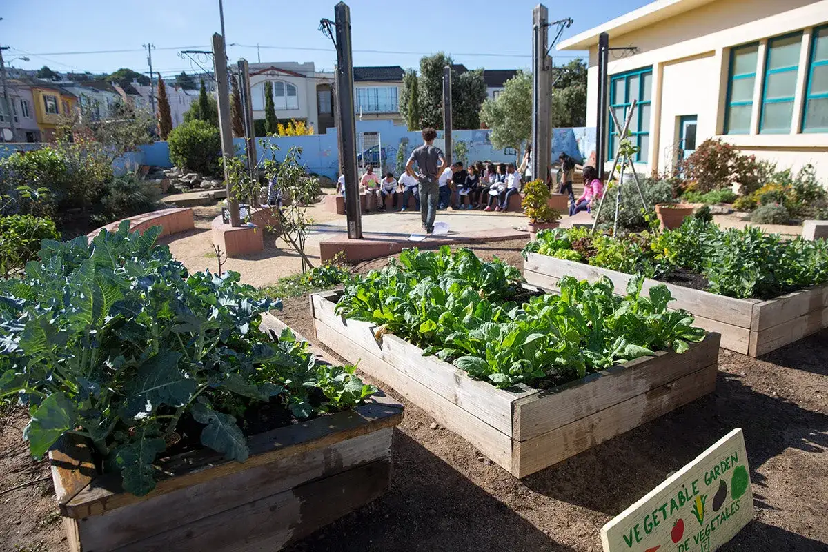 Kinder lernen im Schulgarten viel &uuml;ber Gem&uuml;seanbau. Diese Projekte der Grundschule f&ouml;rdern das Verst&auml;ndnis f&uuml;r Natur.